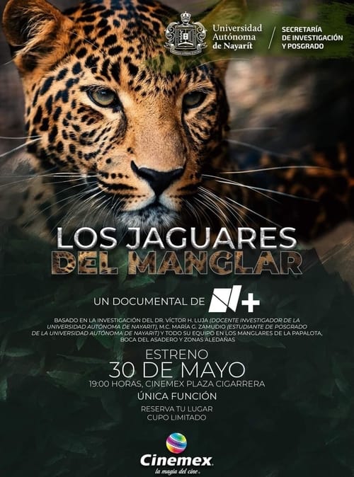 Los Jaguares del Manglar