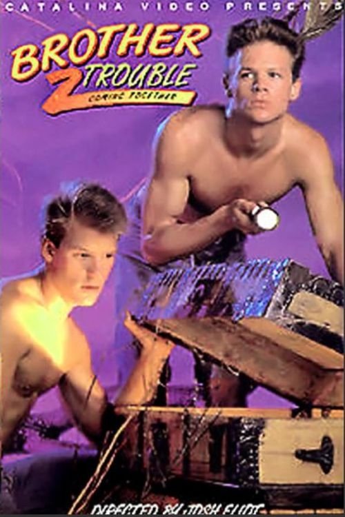Poster of : Brother Trouble 2: Coming Together