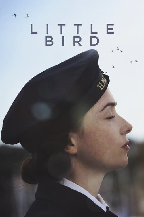 Little Bird (2017) poster