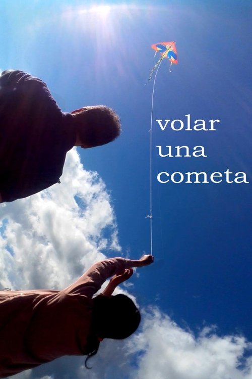 volar una cometa movie poster player