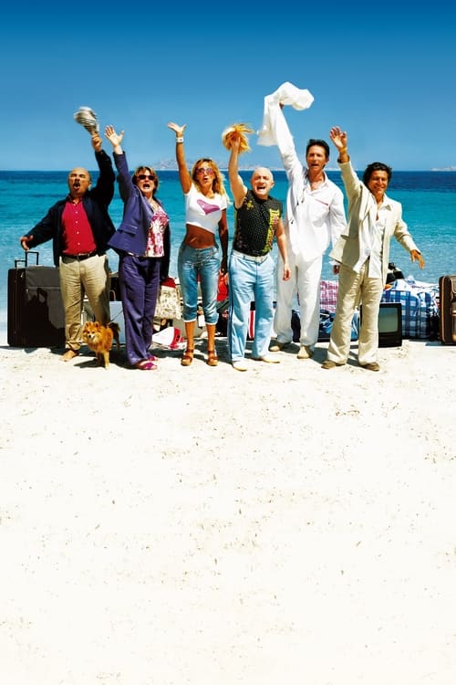 French Fried Vacations 3: Friends Forever Movie Poster Image