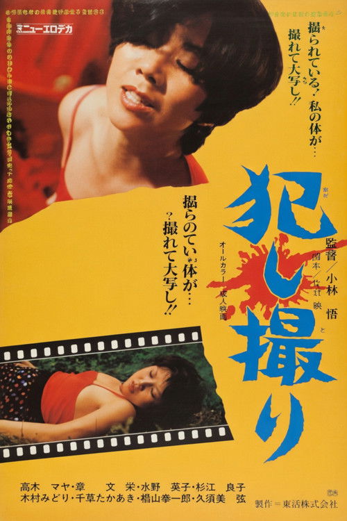 Poster de 犯し撮り