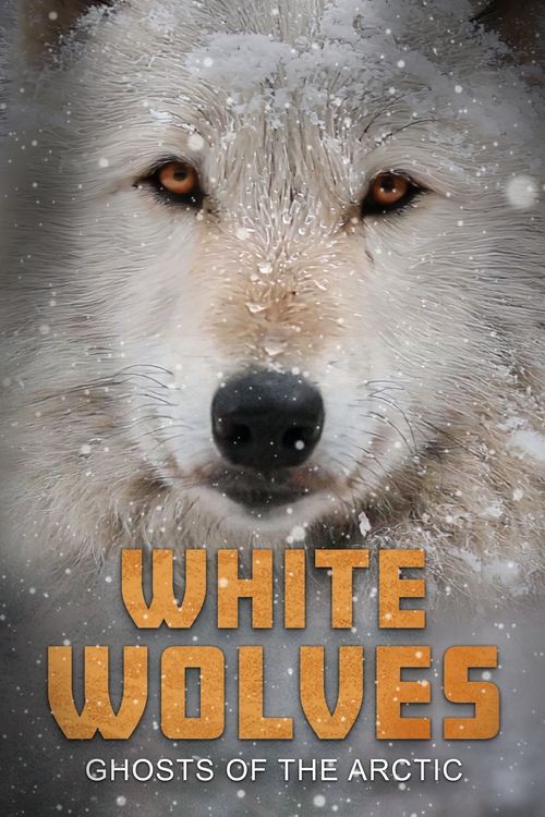 White Wolves: Ghosts of the Arctic