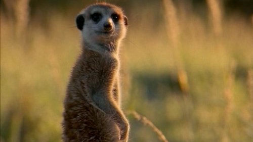 Image de l'épisode 17