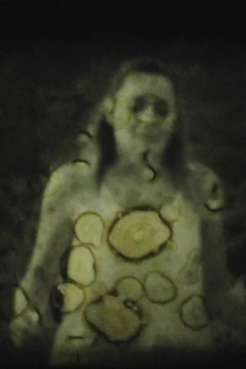 Dance with the lights of the dawn