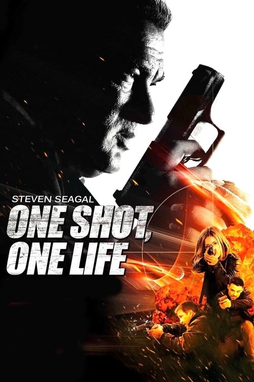One Shot, One Life Movie Poster Image