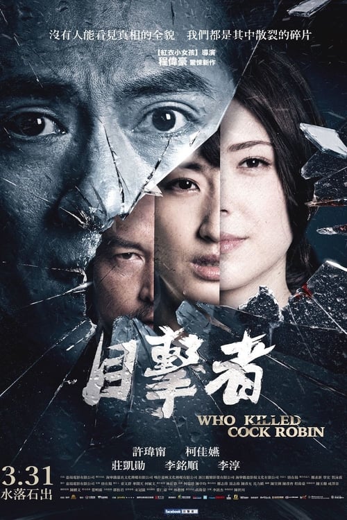 目擊者 (2017) poster