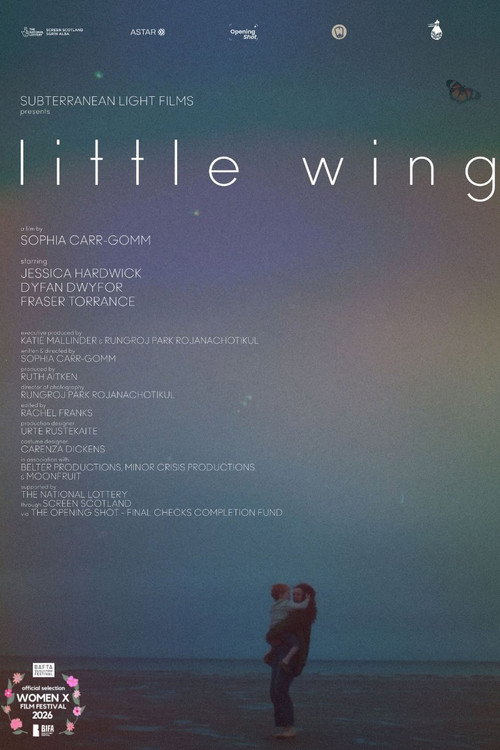 Little Wing