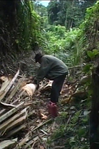 Bagyeli Welfare poster