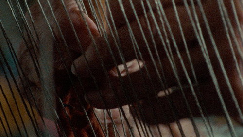 Woven Backdrop Blur