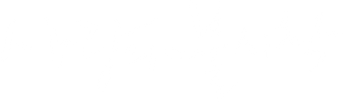 사랑의 불시착
