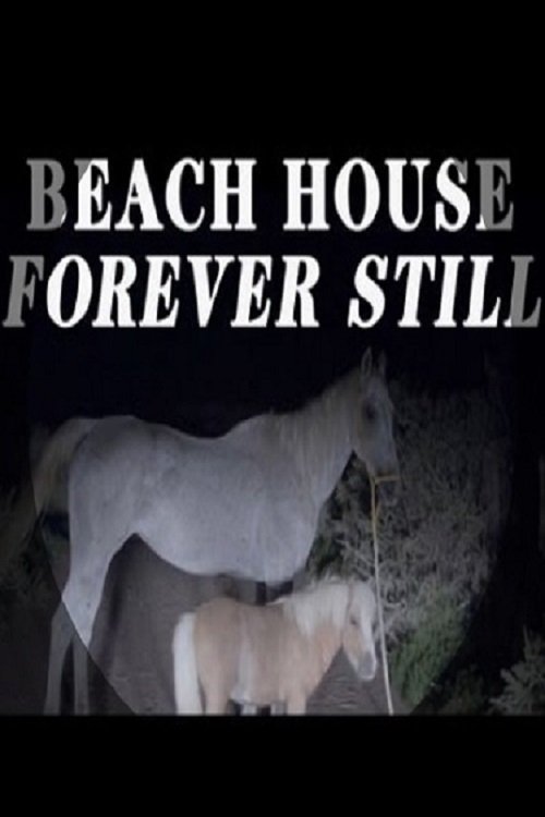 Beach House - Forever Still movie poster player