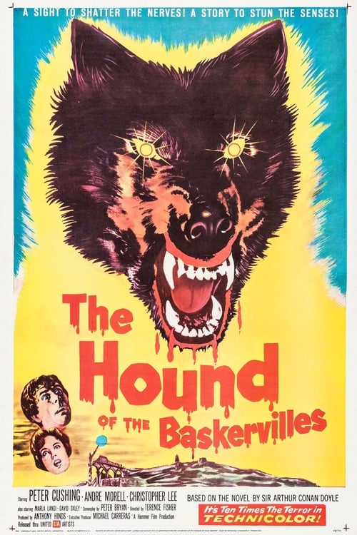 Grootschalige poster van The Hound of the Baskervilles