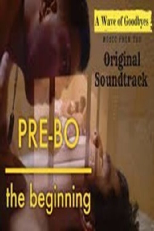 Pre-Bo: The Beginning poster