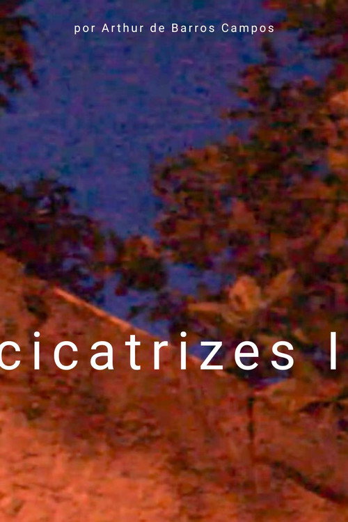 Cicatrizes I poster