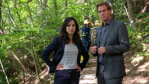 Épisode 5