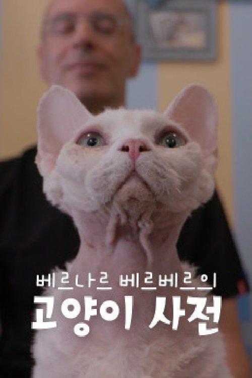 베르나르 베르베르의 고양이 사전 (2021)