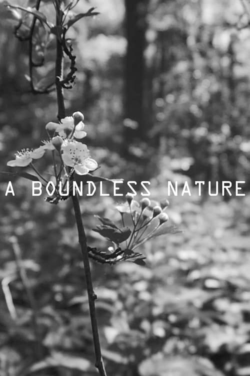 A Boundless Nature 2020