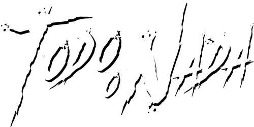 Todo o Nada