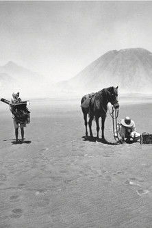 Colour and Splendour of the East poster