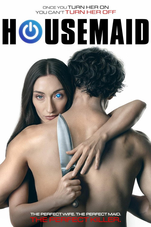 Housemaid poster