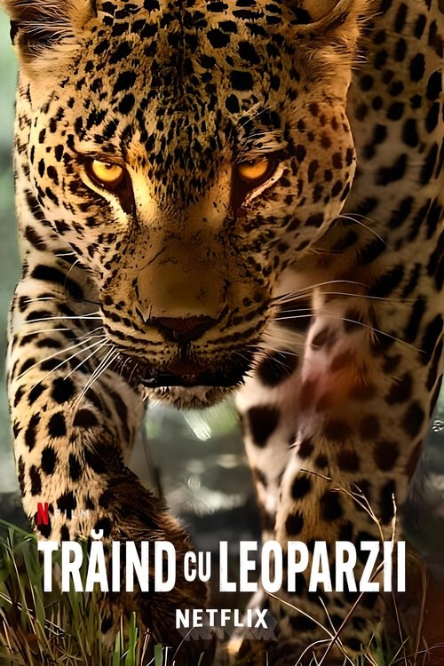 Poster pentru Trăind cu leoparzii