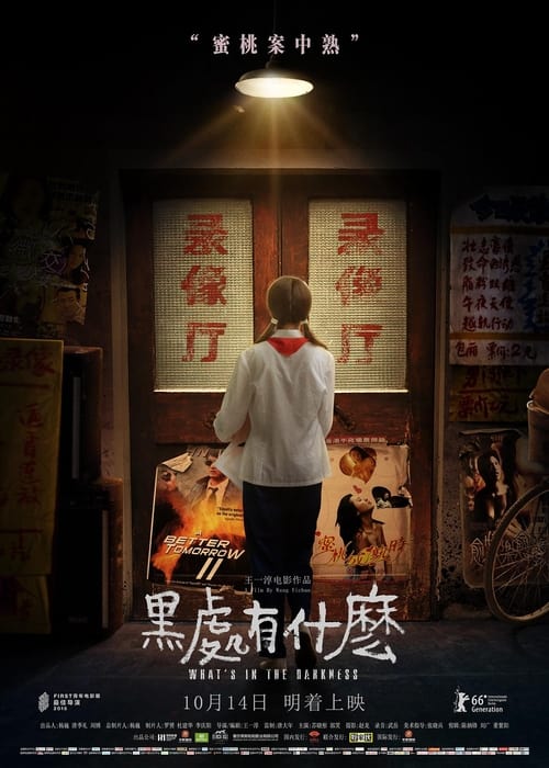 黑处有什么 (2016) poster