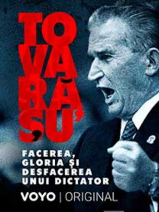 Escena 4 de Tovarășu': facerea, gloria și desfacerea unui dictator