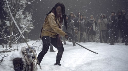 The Walking Dead: 9×16