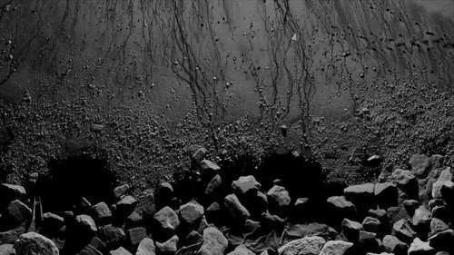 Framerate: Pulse of the Earth
