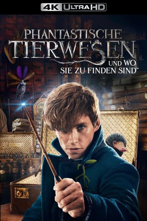 Posters