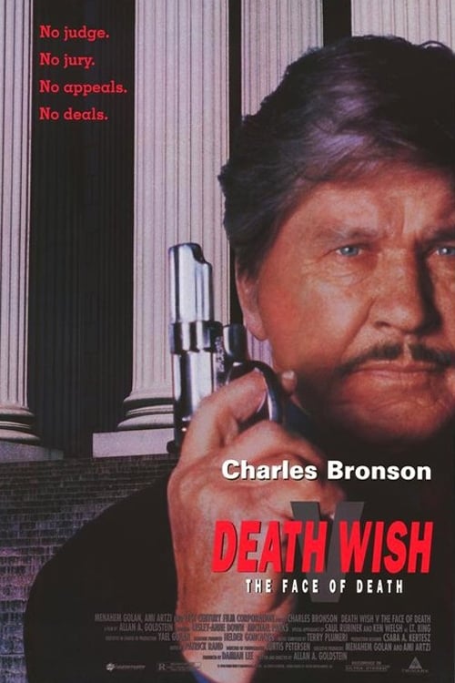 Largescale poster for Death Wish V: The Face of Death