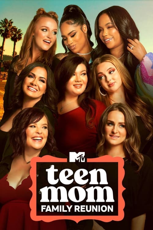 Teen Mom: Family Reunion poster