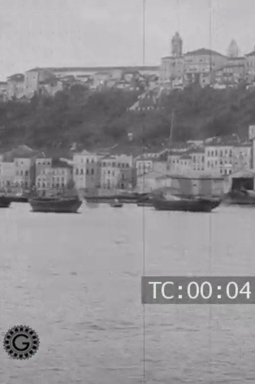 The city of Bahia and its surroundings poster