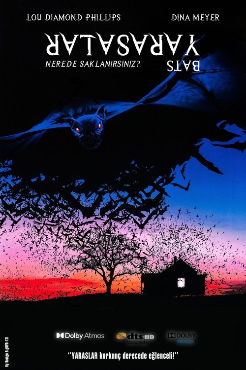 Bats