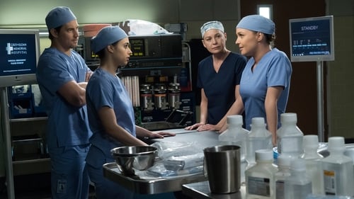 Grey's Anatomy - Season 14 - Episode 19: Beautiful Dreamer