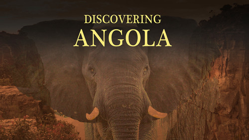 Discovering Angolaang Backdrop Blur