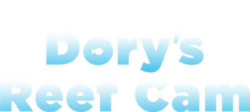 Dory's Reef Cam