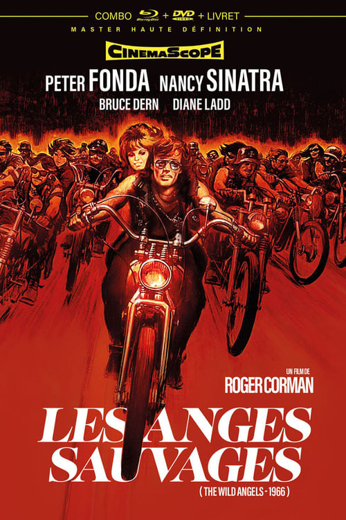 Les Anges sauvages (1966)