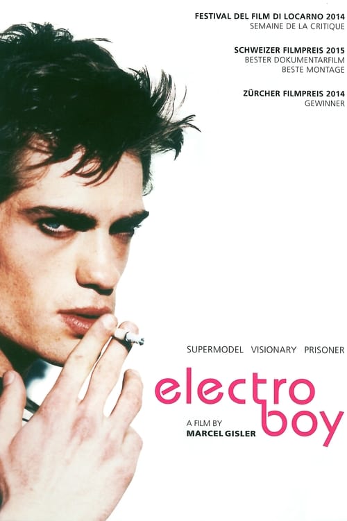 Electroboy poster