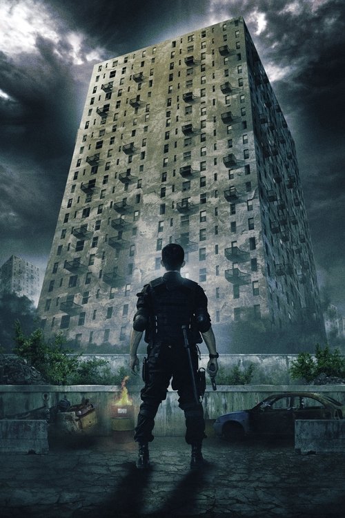 The Raid