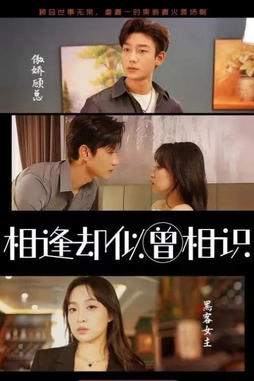 相逢却似曾相识