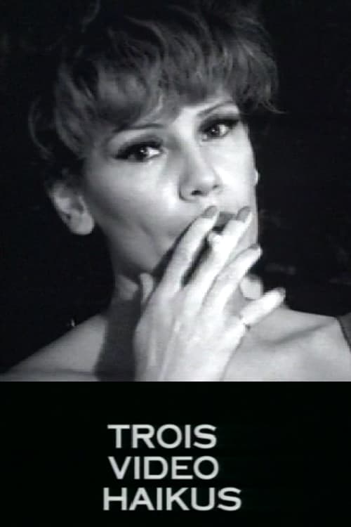 Poster Trois video haikus 1994