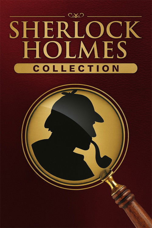 Pòster de Sherlock Holmes - Col·lecció de Robert Downey Jr.