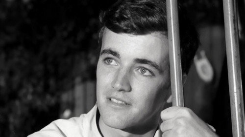 Across Walnuts and Wine