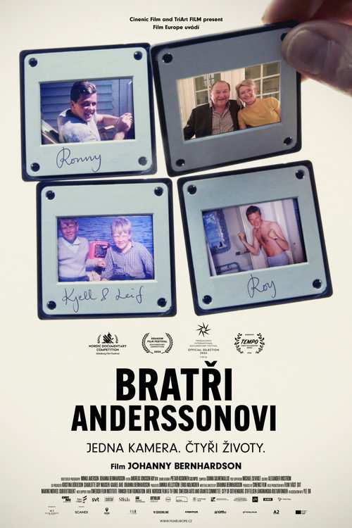 Bratři Anderssonovi