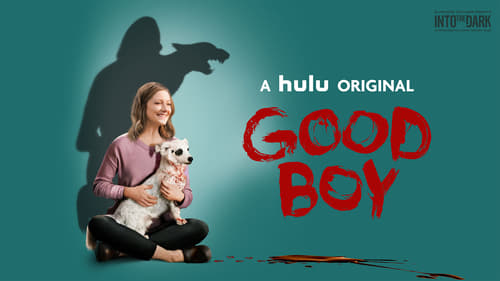 Watch Good Boy Online MTV