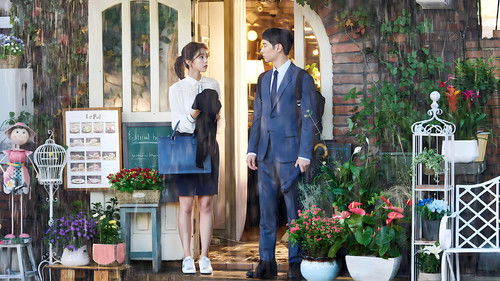 Where Stars Land backdrop 3