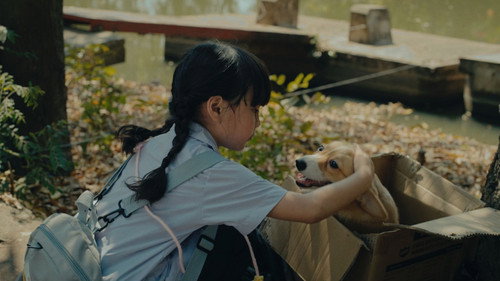 Missing Dog Backdrop Blur