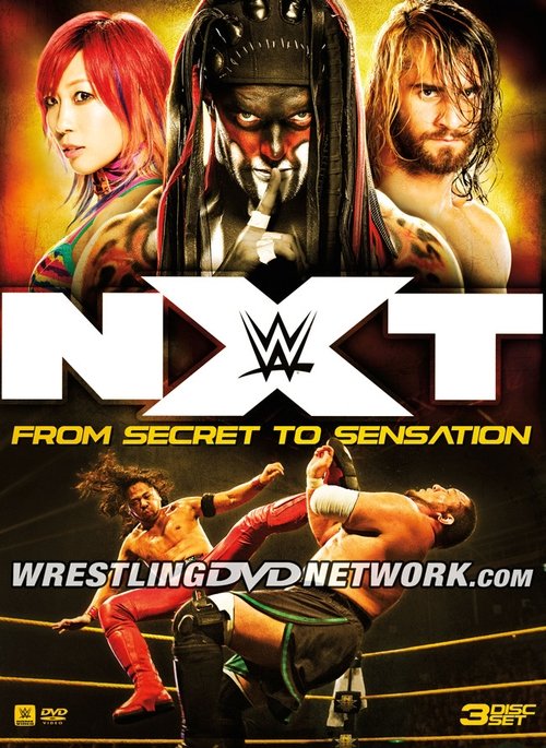 NXT: From Secret To Sensation movie poster player